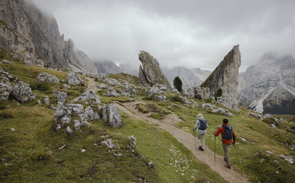 trail back trekking poles (pair) | durable aluminum | flicklock adjustability