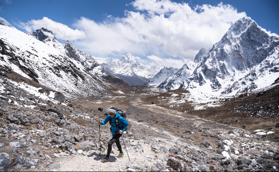 trail back trekking poles (pair) | durable aluminum | flicklock adjustability